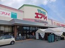エブリイ茶屋町店まで500m パールフィールド