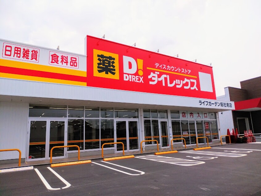 ダイレックス ライフガーデン総社南店(ディスカウントショップ)まで4223m センチュリー21C