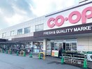 おかやまコープ コープ北畝(スーパー)まで520m プロニティ・KⅢ