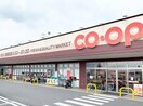 おかやまコープ コープ鴨方(スーパー)まで608m 山陽本線（中国）/鴨方駅 徒歩21分 2階 築18年