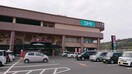 ニトリ 天満屋ハピータウン鴨方店 1989m ルボア平喜C