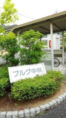  ブルグ中林