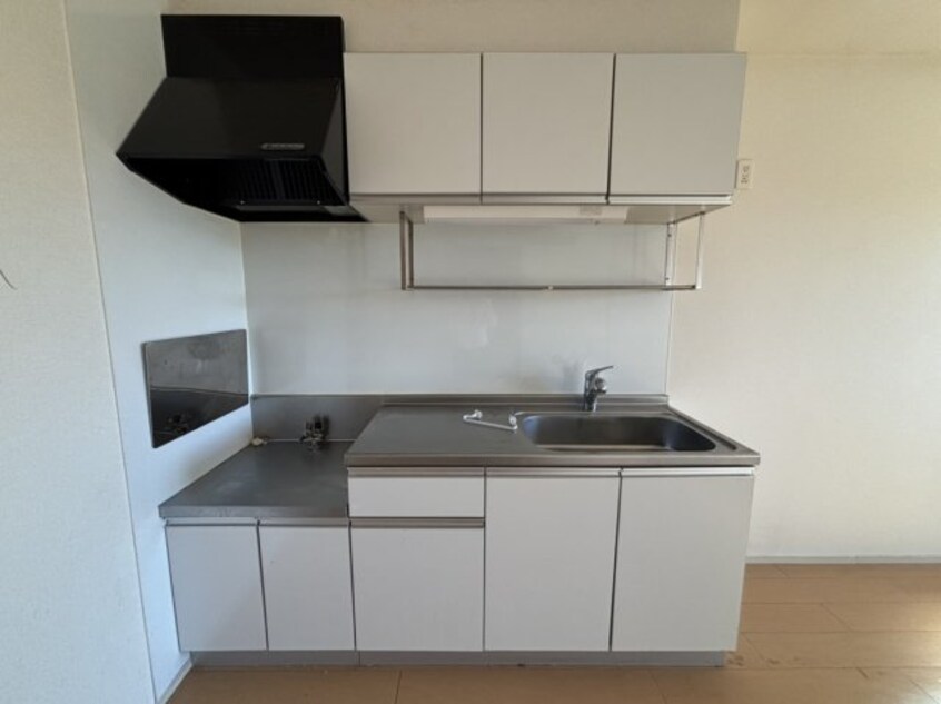  ディリジェントⅡＢ