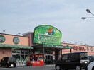 ニシナ西原店まで2000m グランパス　船穂　Ｂ