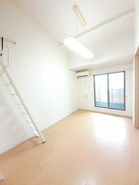  プラシード・Ｔ