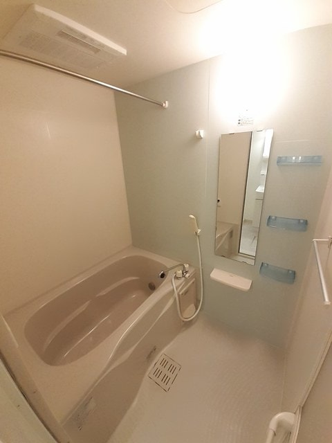  プラシード・Ｔ