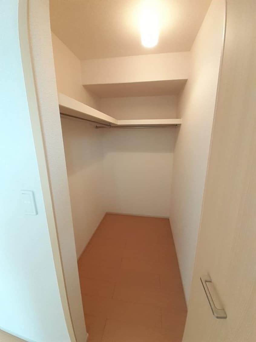  プラシード・Ｔ