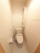  プラシード・Ｔ