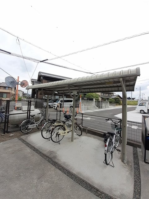  プラシード・Ｔ