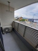  プラシード・Ｔ