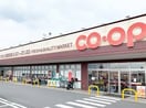 おかやまコープ コープ鴨方(スーパー)まで1006m ルボア平喜A