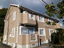  コモドカーサ