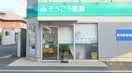 そうごう薬局 児島店(ドラッグストア)まで576m MINKA東棟