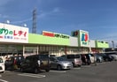 ディオ 玉島店(ディスカウントショップ)まで665m ソレアード・ハイムＡ