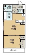 グランデ倉敷駅前 1LDKの間取り