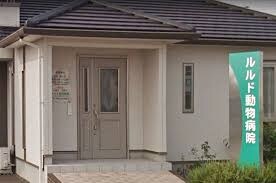 ルルド動物病院 1550m クオリティーハイム