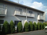 タウニィ樹