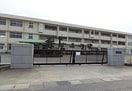 倉敷市立福田中学校(中学校/中等教育学校)まで520m 佐藤貸家