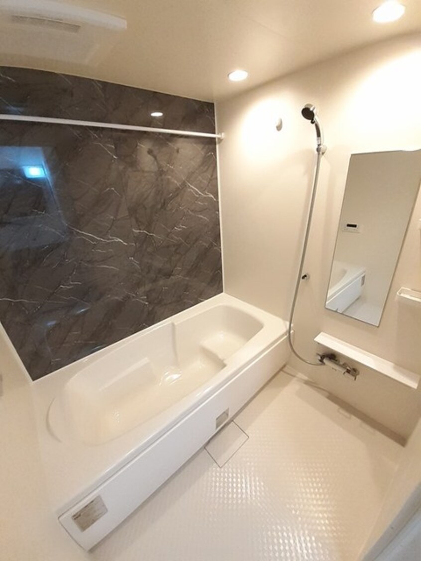  ラフィーネ・ヴィシン