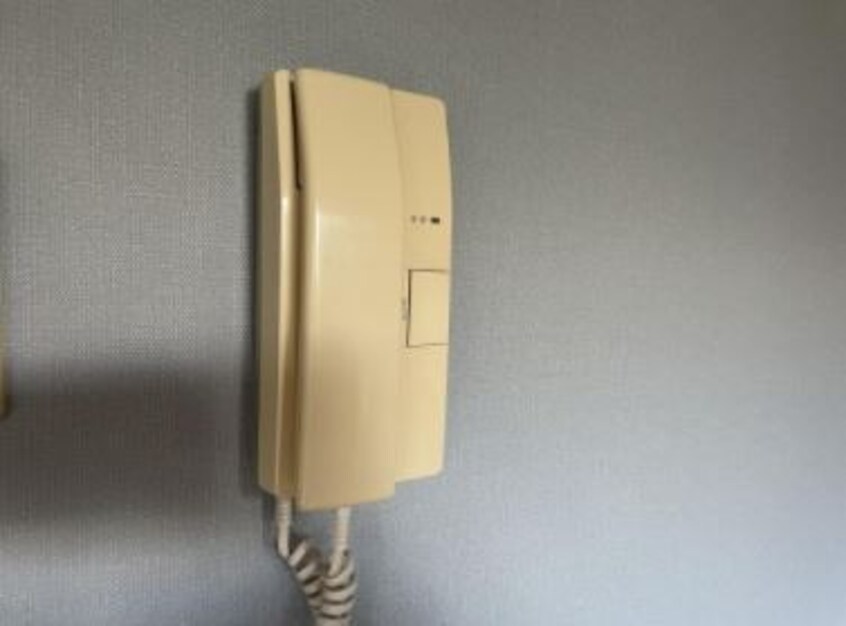  ジンシャーエールⅠ