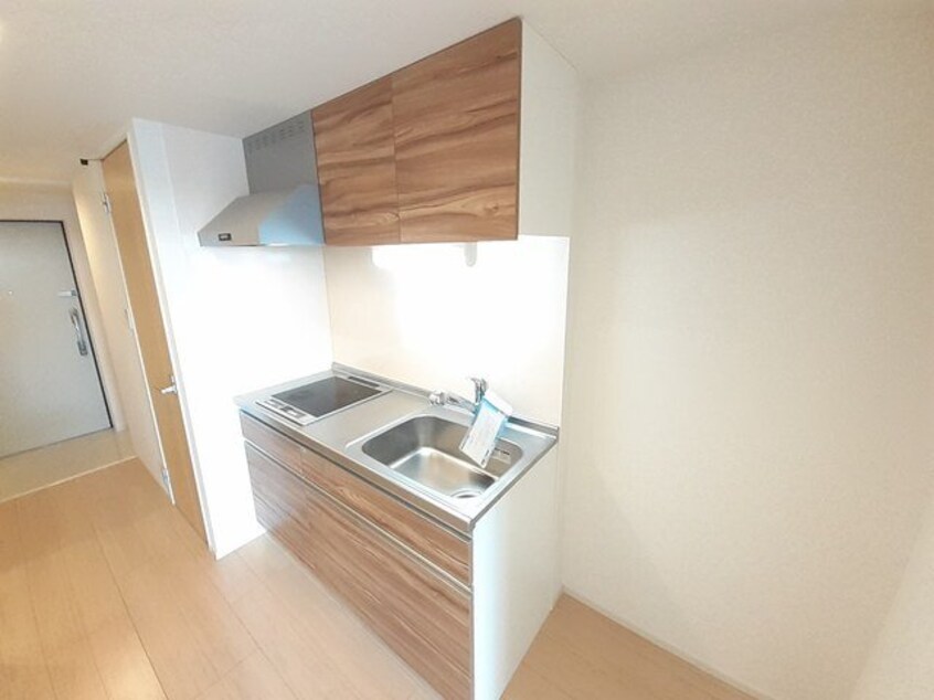  ケイマイティ　Ⅱ