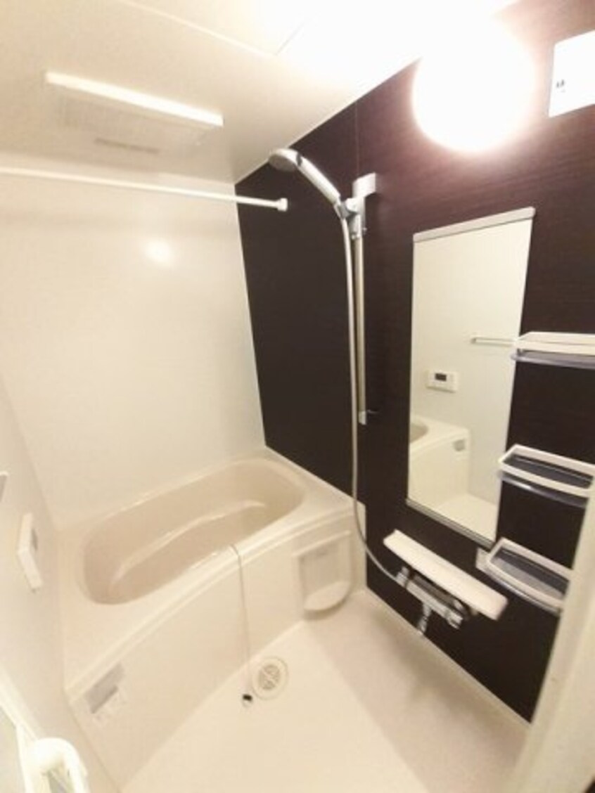  ケイマイティ　Ⅱ