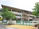中島小学校まで110m 山陽本線（中国）/西阿知駅 徒歩20分 1階 築3年