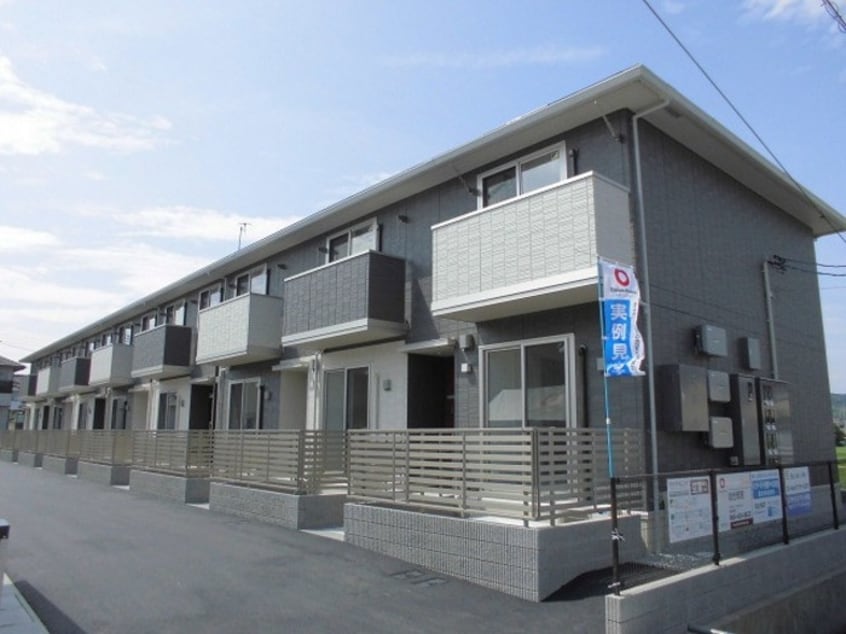  グレイスパステール