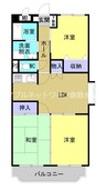 パスィフィーク 3LDKの間取り