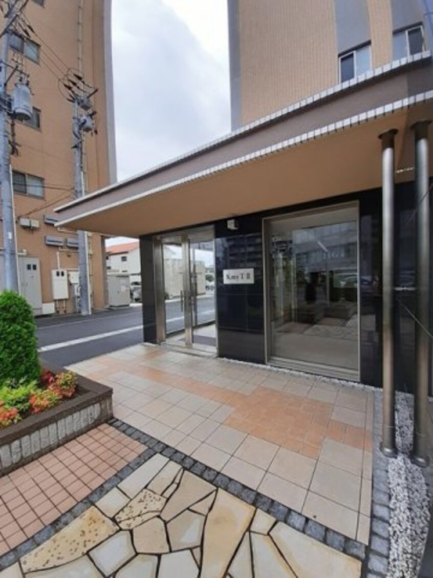  ケイマイティ　Ⅱ