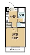 ティノコアくらしき 1Kの間取り