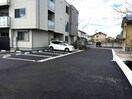  マグノリア　カリーノ