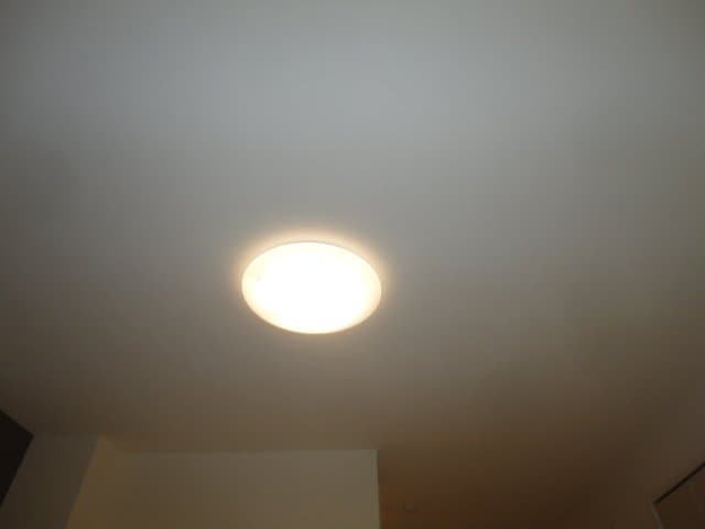 照明器具 フルール