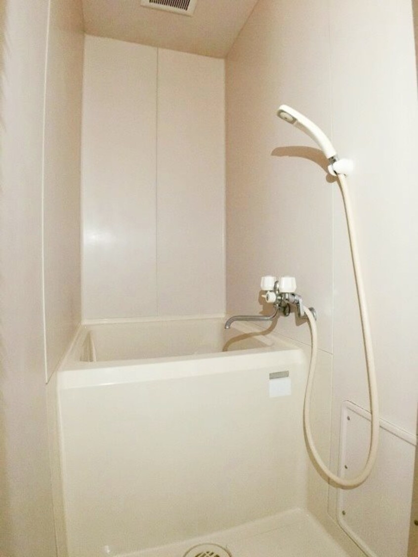  オアシス