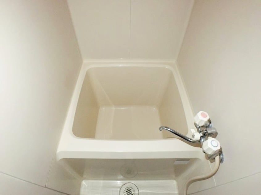  オアシス