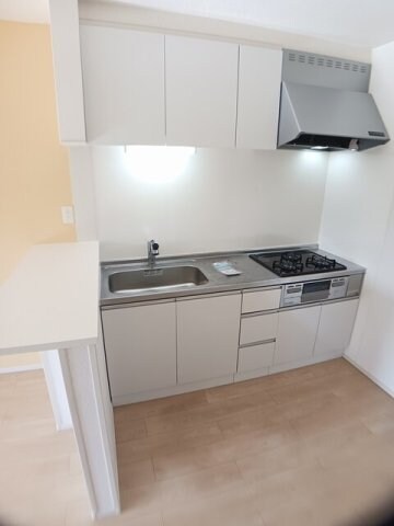  エテルナ　ナリッシュ　Ⅱ