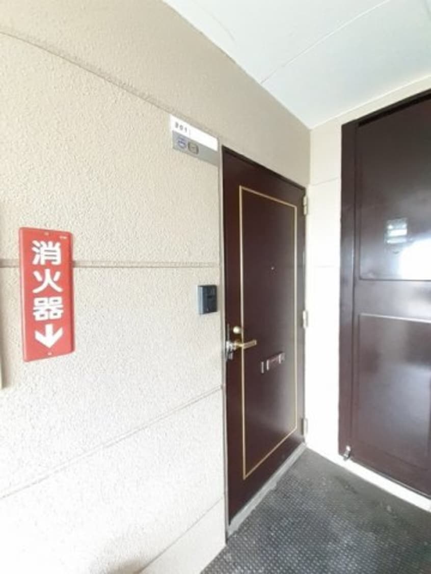  パールフィールド