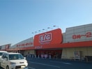 ザ・ビッグ　鴨方店まで1000m ブリーゼＡ