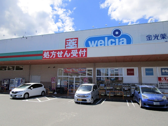 金光薬品 倉敷林店(ドラッグストア)まで1091m 瀬戸大橋線/木見駅 徒歩13分 2階 築5年