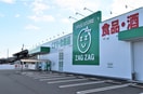 ザグザグ平田店(ドラッグストア)まで755m アルファスマート倉敷平田