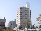宇野線<宇野みなと線>/妹尾駅 徒歩2分 9階 築31年の外観