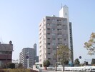 宇野線<宇野みなと線>/妹尾駅 徒歩2分 9階 築31年の外観