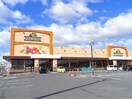 ニシナ連島中央店まで600m レジデンス・ロジェ