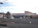 マルナカ 庭瀬店 1332m 山陽本線（中国）/庭瀬駅 徒歩20分 2階 築18年