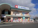 金光薬品 倉敷中庄店(ドラッグストア)まで115m Rコート