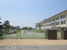 中州小学校まで1000m 水島臨海鉄道水島本線/球場前駅 徒歩15分 1階 築19年