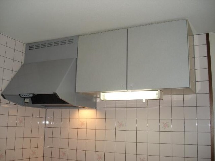 キッチン収納 山陽本線（中国）/倉敷駅 バス18分日間下車:停歩5分 2階 築27年