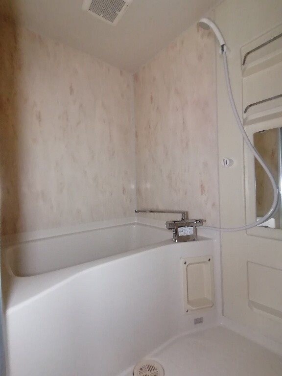  プレジールミク