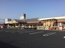 ナンバホームセンター 倉敷店 2855m 水島臨海鉄道水島本線/球場前駅 徒歩12分 2階 築24年