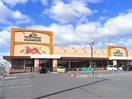 ニシナ連島中央店まで900m すみれガーデン　Ａ